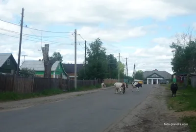 Чунский район планирует преобразоваться в округ. Быть или не быть  муниципальной реформе?