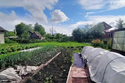 Купить Загородную Недвижимость в посёлке Горный (Новосибирская область) -  предложения о продаже загородной недвижимости недорого: планировки, цены и  фото – Домклик