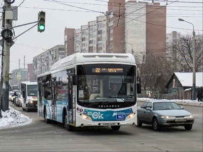 Коттеджный поселок Новое Дружино, Дружино - сайт недвижимости МЛСН.ру