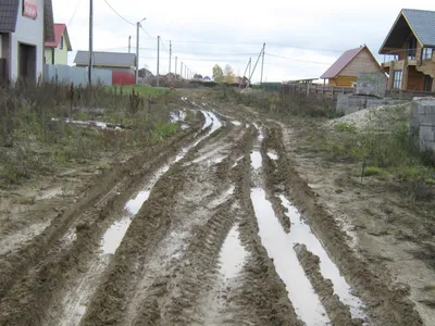 Чем примечателен поселок Молодежный? Изучаем загородную недвижимость |  Вслух.ru