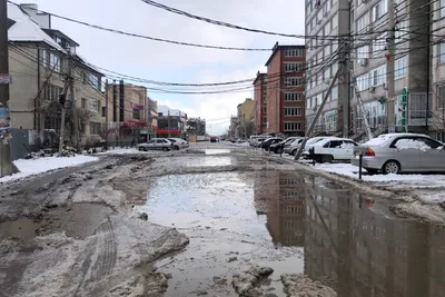 Жители поселка Российский в Краснодаре готовы объявить голодовку из-за  безразличия властей - PrimaMedia.ru