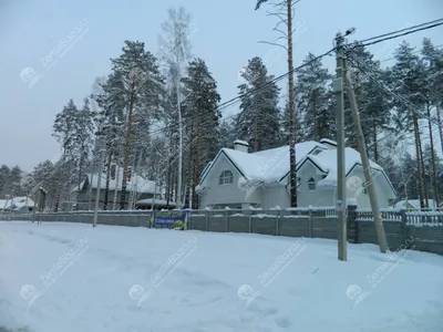 Пропала собака в Западном-2, Рудный, Екатеринбург | Pet911.ru