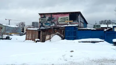 Пропала скотч терьер в пос. Садовый, Орджоникидзевский р-н, Екатеринбург |  Pet911.ru