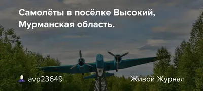 Снежный скульптор Михаил Сапарин из поселка Высокий: «Для меня самое  главное – создать людям праздник» | 01.01.2020 | Мурманск - БезФормата