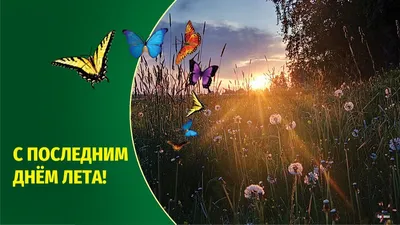 31 августа – последний день лета