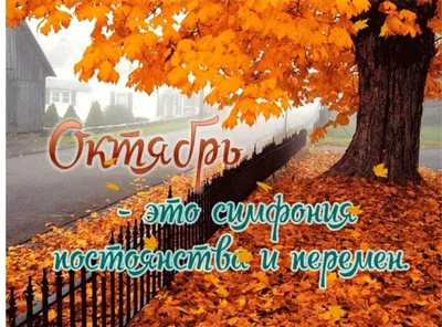 Смоленская газета - Последний день октября принесёт в Смоленскую область  заморозки