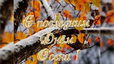 🍂 Как незаметно пришел последний день осени 2021 года. Завтра уже зима❄️ !  Давайте все вместе поздравим тех, у кого В НОЯБРЕ было… | Instagram