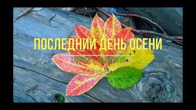 Последний день осени