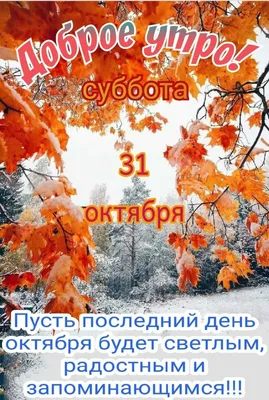 Сергей Замковой - 30 ноября: последний день осени. Где-то всё уже в снегу,  где-то ещё нет, а где-то снега вообще не бывает... Какие-же мы  счастливчики, что наблюдаем процесс смены времён года. Поздняя