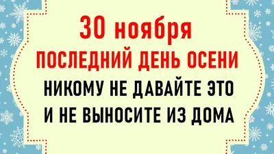 Последние две недели осени: какой погодой нас радует конец ноября?