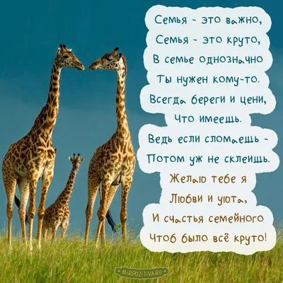 Семья — это важно, Семья — это круто, В семье однозначно Ты нужен кому-то |  Открытки, Семья иллюстрация, Картинки