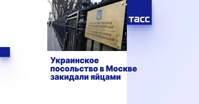 Посольство Украины в России настаивает на нелегитимности референдума в  Крыму - Газета.Ru