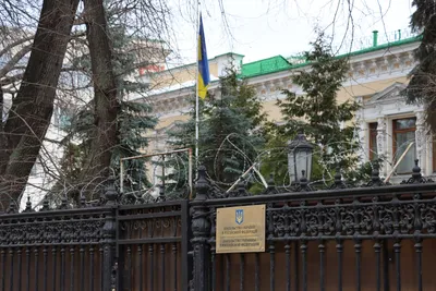 Pro-Kremlin Demonstrators Throw Eggs at Ukrainian Embassy in Moscow - The  Moscow Times