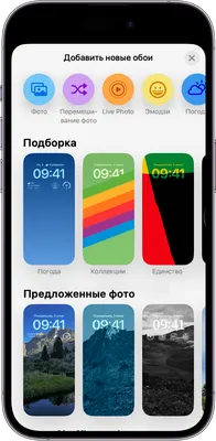 Ваш iPhone может больше: вы точно не знали об этой функции - Hi-Tech Mail.ru