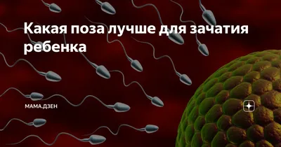 Лучшая поза для зачатия ребенка. Какую позу выбрать? Когда бежать проверять  здоровье? - YouTube