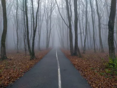 Поздняя осень городского парка. Photographer Vitaliy Maslov