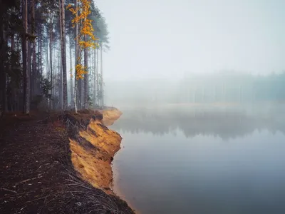 Картина Поздняя осень в Киеве ᐉ Колос Анна ᐉ онлайн-галерея Molbert.