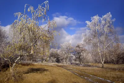 Поздняя весна :: Наталья Лунева – Социальная сеть ФотоКто