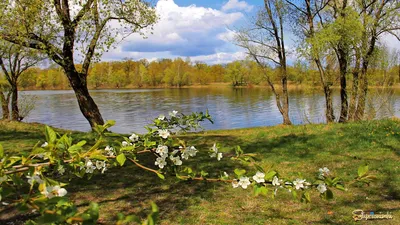 Поздняя весна, раним утром.. Фотограф Роман Горячий