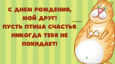 Открытки с днем рождения ДРУГУ. Более 50 картинок с пожеланиями. Прикольные  и веселые открытки для друга, поз… | С днем рождения, Открытки ко дню  рождения, Открытки