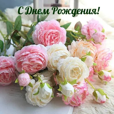 Поздравляю с праздником 8 марта! 🌹🌹🌹 | TikTok