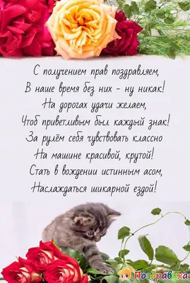 сполучением #авто#праванамашину #права | TikTok