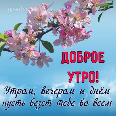 Открытки \"Доброе утро\" | Открытки, поздравления и рецепты | Дзен