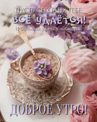 С добрым утром!#видеооткрытка #открыткасдобрымутром#открытка #рекоменд... |  TikTok