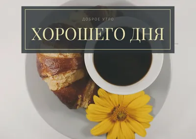 Поздравления с днем рождения в стихах и прозе – лучшие картинки – Lifestyle  24