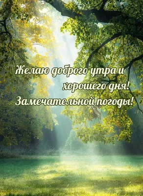 Пин от пользователя Жанна на доске Доброе утро | Вдохновляющие цитаты,  Цитаты, Вдохновляющие фразы