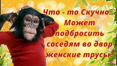 ♥♥♥ ПОЗИТИВ-позитивчик для ДРУЗЕЙ ღღღ | ВКонтакте