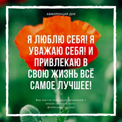 Счастье, как образ жизни on Instagram: “Аффирмация дня 💓 Наш позитивный  настрой формирует нашу жизн… | Позитивные цитаты, Мотивирующие цитаты,  Мотивационные цитаты