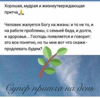 Доброе утро - это проснуться в хорошем настроении. Смотрите на мир позитивно.  Свежие мысли и хорошее настроение значительно упрощают жизнь.… | Instagram