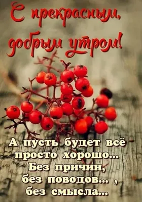 🍁 ⛅ ☕ Картинки С добрым осенним утром - скачать (240 шт.)