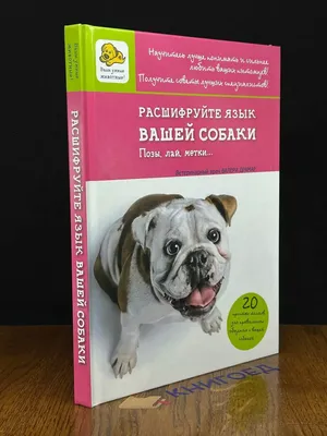 Как распознать проявления боли у кошек и собак.