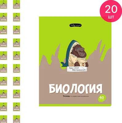 Цитаты из книги «Правда жизни от финансово свободного человека» Сергея  Бутова – Литрес