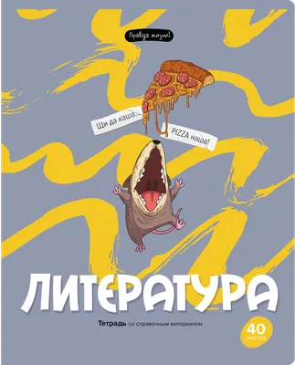 Тетрадь предметная 40л. BG \"Правда жизни\" - Физика купить по цене 37 руб. в  Москве. Бесплатная доставка по России. Артикул ТП5ск40 12205