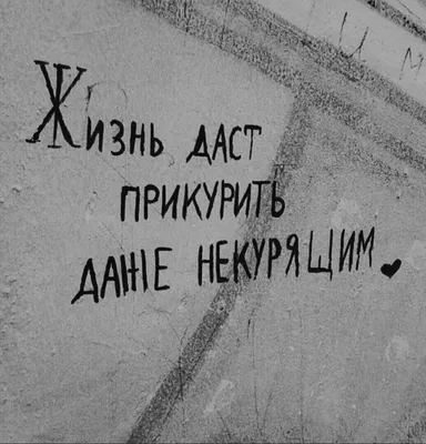 Тетрадь предметная 40л. BG \"Правда жизни\" - Биология (комплект из 20 шт) -  купить с доставкой по выгодным ценам в интернет-магазине OZON (1148081795)