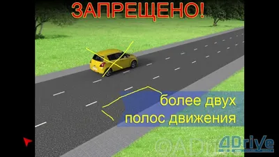 Сдать на права с первого раза: 6 популярных способов 🚗