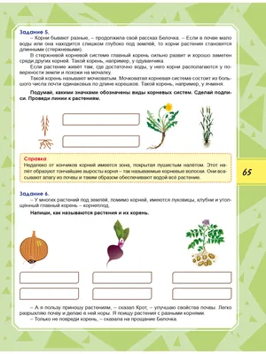 Правила и упражнения по математике. 3 класс — купить лицензию, цена на  сайте Allsoft