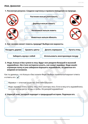 Картинки Правила поведения в лесу (39 шт.) - #13770