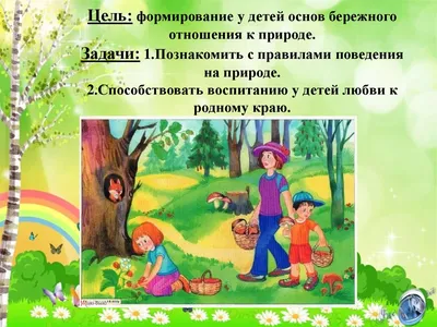 Купить Стенд Правила поведения в лесу 400*600 мм 📄 с доставкой по Беларуси  | интернет-магазин Stendy.by