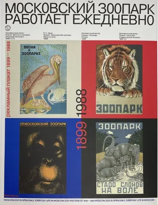 Московский зоопарк работает ежедневно. Рекламный плакат (1899-1988)  (Светлана Акулова, Ирина Работнова) - купить книгу с доставкой в  интернет-магазине «Читай-город». ISBN: 978-5-90-401245-8