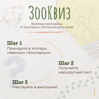 Папка-передвижка «Мы едем в зоопарк» (4 фото). Воспитателям детских садов,  школьным учителям и педагогам - Маам.ру