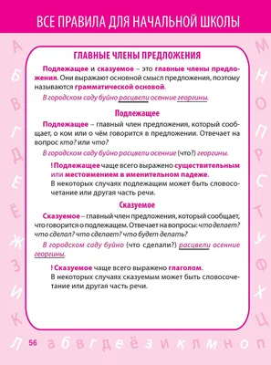 Иллюстрация 5 из 12 для Самые важные правила русского языка в картинках. 1-4  классы - Марина Ерманова | Лабиринт - книги. Источник: Разоренова Ирина