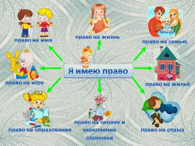 Основы административного права. Цели и принципы