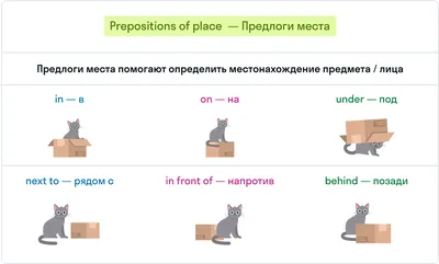 ГДЗ номер 21 с.26 по английскому языку 4 класса Биболетова Учебник —  Skysmart Решения