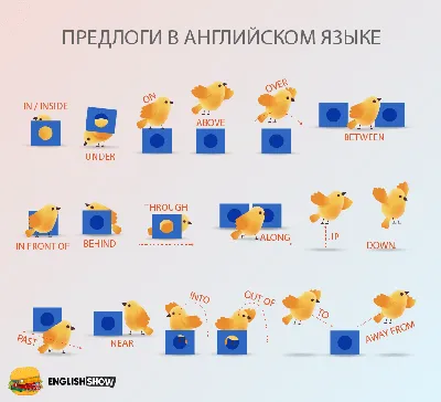 Предлоги места в английском языке в картинках и упражнениях