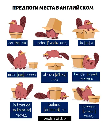 Предлоги места в английском языке: полный список с примерами употребления