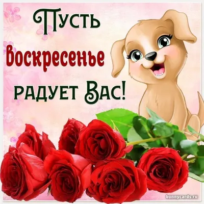 Открытка прекрасного весеннего воскресенья - GreetCard.ru